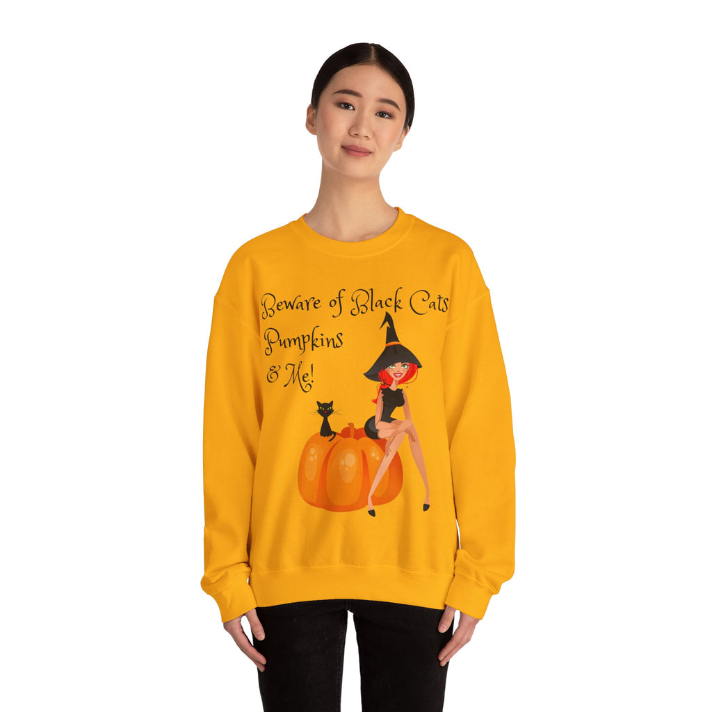 Witch & Pumpkin Sweatshirt - "Beware of Black Cats, Pumpkins & Me!" Halloween CrewneckSweatshirts