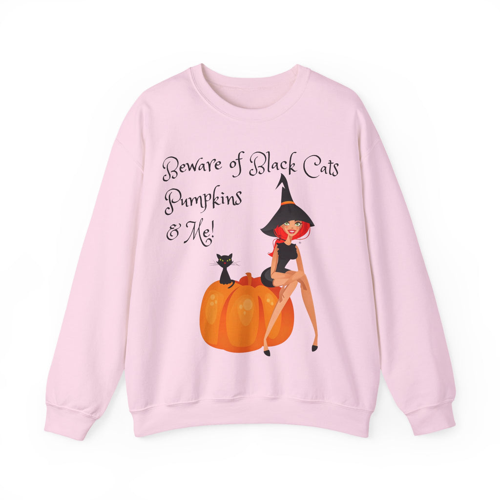 Witch & Pumpkin Sweatshirt - "Beware of Black Cats, Pumpkins & Me!" Halloween CrewneckSweatshirts
