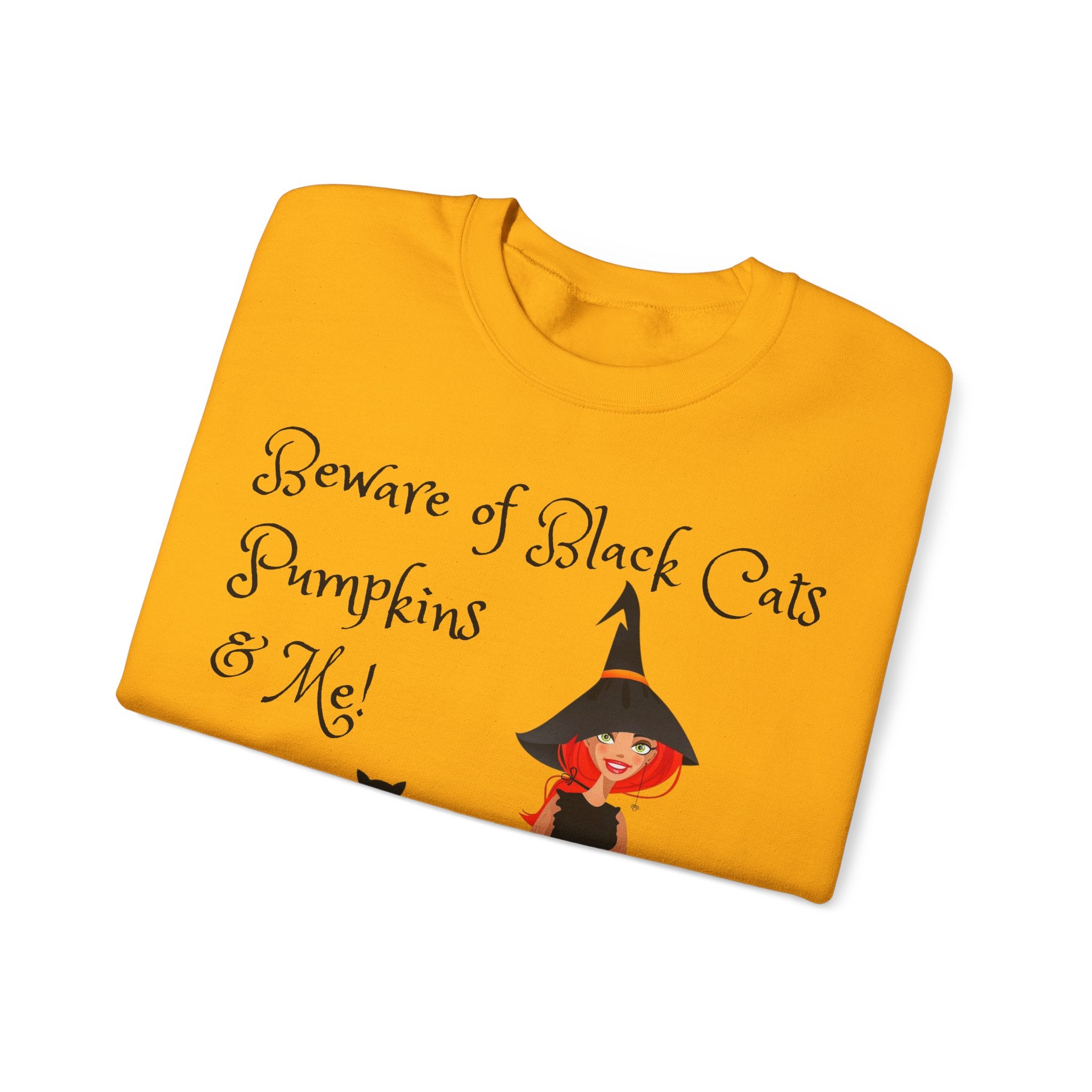 Witch & Pumpkin Sweatshirt - "Beware of Black Cats, Pumpkins & Me!" Halloween CrewneckSweatshirts