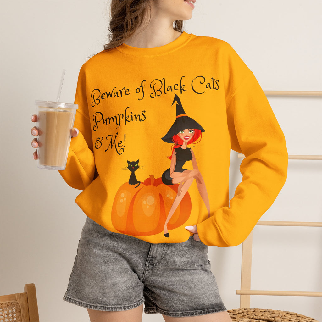 Witch & Pumpkin Sweatshirt - "Beware of Black Cats, Pumpkins & Me!" Halloween CrewneckSweatshirts