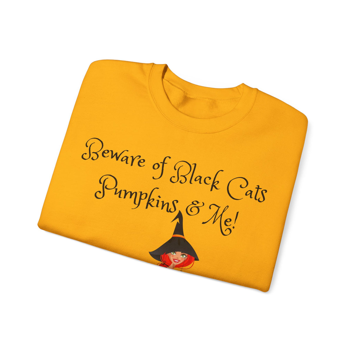 Witch & Pumpkin Sweatshirt - "Beware of Black Cats, Pumpkins & Me!" Halloween CrewneckSweatshirts