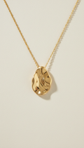 Gold Vermeil Organic Pendant Necklace